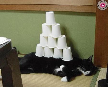 Trop fatigué